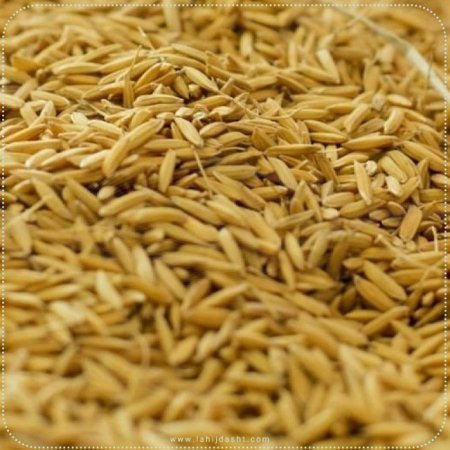 توضیحاتی درباره سبوس برنج