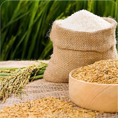 نکات مهم در خرید آرد برنج