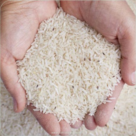 قراردادن برنج در چه مکان‌هایی باعث ایجاد حشره برنج می‌شود؟