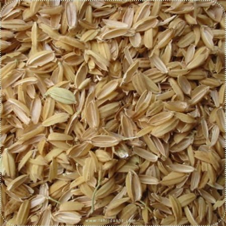 سبوس برنج جایگزینی ارزان در جیره