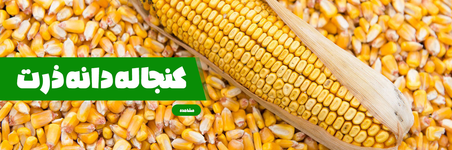 لاهیج دشت | سبوس برنج ، پوست بادام زمینی، کنجاله زیتون ،کنجاله بادام زمینی