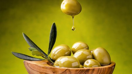 کنجاله زیتون چیست و به چه میزان در جیره دام و طیور مورد استفاده است؟