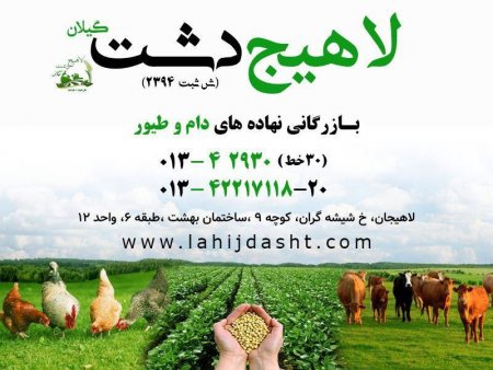 فواید استفاده از کنجاله زیتون در خوراک دام و طیور