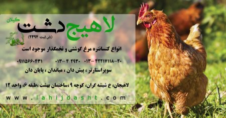 کنسانتره مرغ گوشتی و تخمگذار