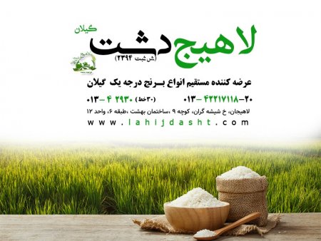 برنج درجه یک در لاهیج دشت