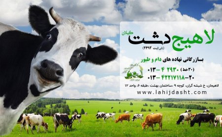شرکت لاهیج دشت گیلان