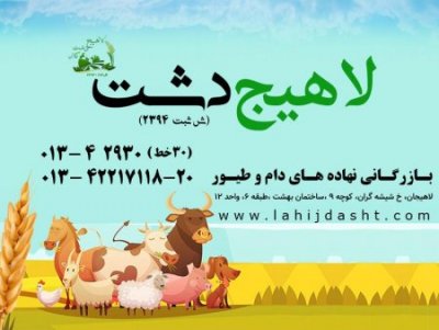 لاهیج دشت
