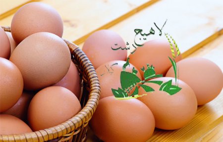 اخبار لاههیج دشت