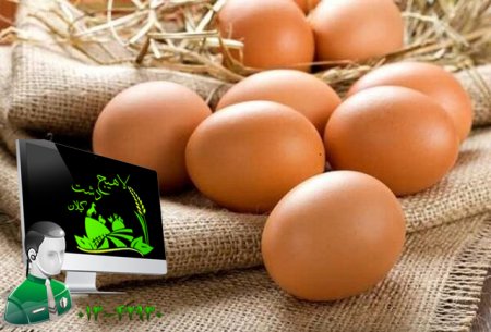 اخبار لاههیج دشت