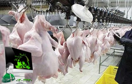 اخبار لاههیج دشت