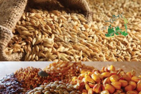 اخبار لاههیج دشت