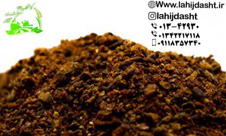 تاثیر کنجاله پنبه دانه بر پرورش دام