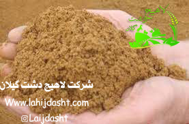 پودر گوشت در تغذیه دام