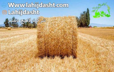 کاه و کلش برای دام