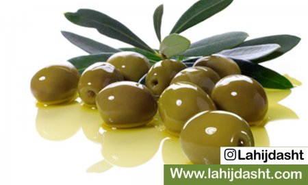 فروش عمده کنجاله زیتون