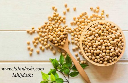 سویا و استفاده از آن در جیره دام و طیور