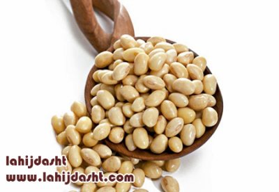 آنالیز کنجاله سویا