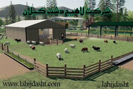 ویژگی های سبوس گندم دامی