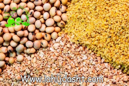سویا و استفاده از ان در جیره دام و طیور