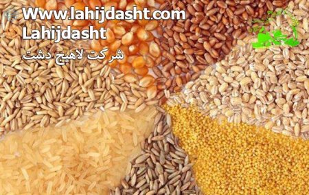 جیره غذایی در دام به چه معناست