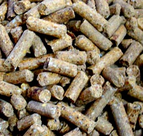 کنجاله سویا و نقش آن در تغذیه طیور