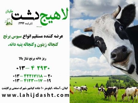 نرخ روز سبوس برنج دامی