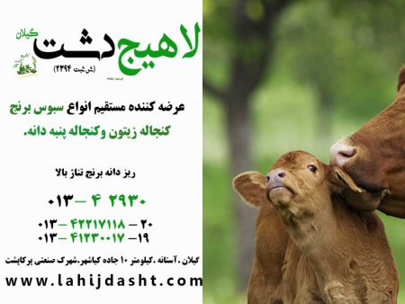 خرید و فروش سبوس برنج گیلان