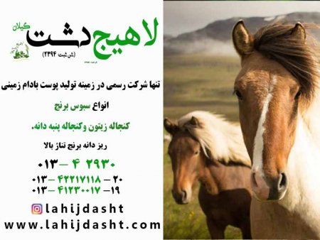 کاه برنج