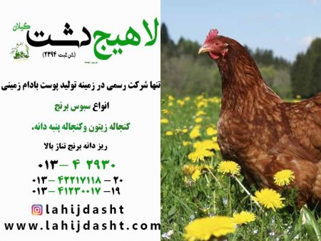 مزایا استفاده از کنجاله کنجد در جیره طیور