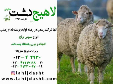استفاده از سبوس برنج در خوراک دام و طیور :