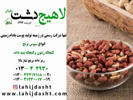 کاربرد پوست بادام زمینی در صنعت دام