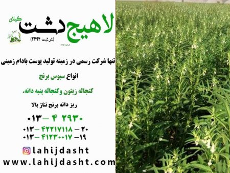 کنجاله چگونه تولید می‌شود؟