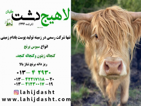 کنجاله و موارد مصرف آن