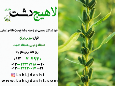 کنجاله سویا چیست ؟