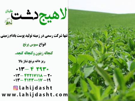 یونجه خوراک دام