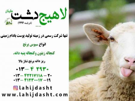 ویژگی های سبوس گندم