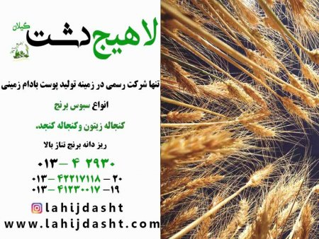 سبوس گندم برای خوراک دام