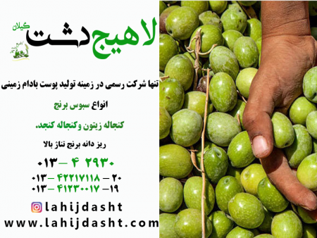 تفاوت کنجاله زیتون با تفاله زیتون