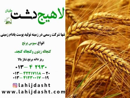 خواص مهم سبوس گندم در دام طیور