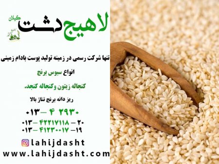 اثرات جایگزینی سطوح کنجاله کنجد با کنجاله سویا بر مصرف خوراک، قابلیت هضم، متابولیت های شکمبه، فعالیت جویدن، عملکرد پروار بره های نر پرواری