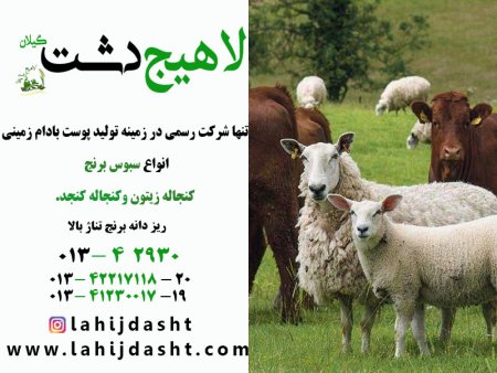 میزان مصرف مجاز سبوس برنج در خوراک متراکم نشخوارکنندگان