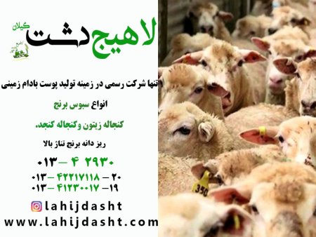 خواص سبوس برنج برای دام