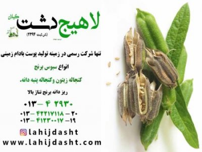 فواید کنجاله پنبه دانه مرغوب برای دام وطیور