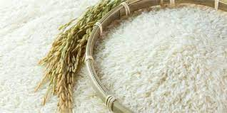 مشخصات برنج گیلانی و انواع مختلف آن