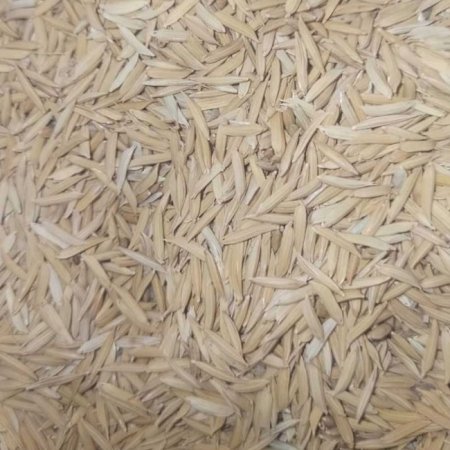 پوشال برنج در مرغداری ها