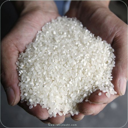 چه عواملی در کیفیت برنج های نیم دانه تاثیر گذارند؟