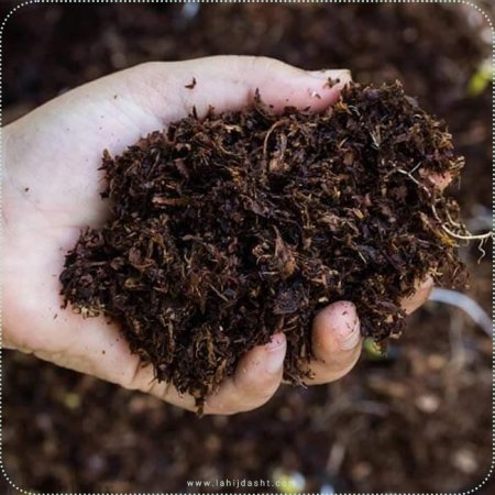 تفاله ی چای مناسب برای PH خاک و گیاهان اسید دوست